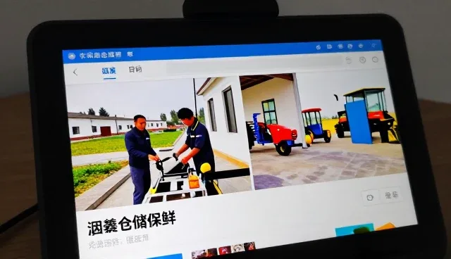 种苗供应相关知识全面介绍